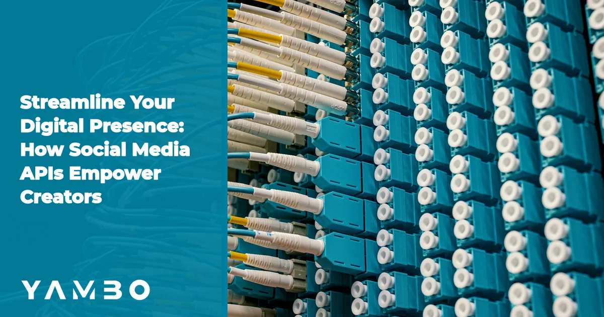 Streamline Your Digital Presence: How Social Media APIs Empower Creators